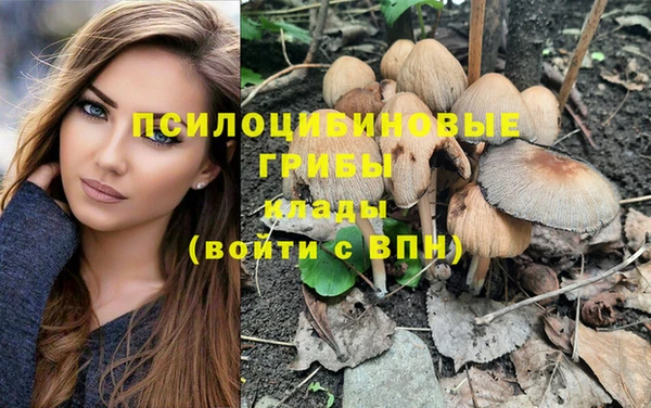 метамфетамин Аркадак